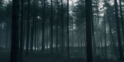 extant_HouseOfTheDragon_2x01-ASonForASon_0008