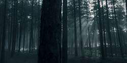 extant_HouseOfTheDragon_2x01-ASonForASon_0013