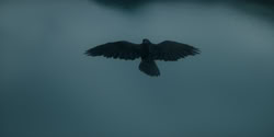 extant_HouseOfTheDragon_2x01-ASonForASon_0028