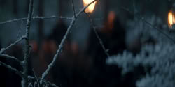 extant_HouseOfTheDragon_2x01-ASonForASon_0132