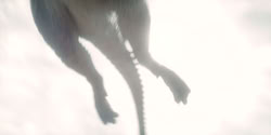 extant_HouseOfTheDragon_2x01-ASonForASon_2002