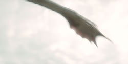 extant_HouseOfTheDragon_2x01-ASonForASon_2003