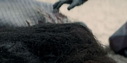 extant_HouseOfTheDragon_2x01-ASonForASon_2057