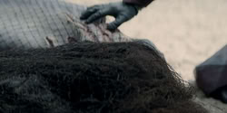 extant_HouseOfTheDragon_2x01-ASonForASon_2058