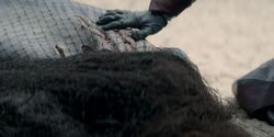 extant_HouseOfTheDragon_2x01-ASonForASon_2059