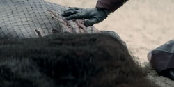 extant_HouseOfTheDragon_2x01-ASonForASon_2060