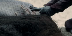 extant_HouseOfTheDragon_2x01-ASonForASon_2065