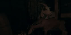 extant_HouseOfTheDragon_2x01-ASonForASon_2890