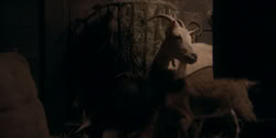 extant_HouseOfTheDragon_2x01-ASonForASon_2893