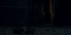 extant_HouseOfTheDragon_2x01-ASonForASon_4566