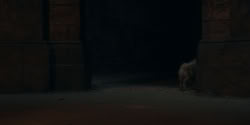 extant_HouseOfTheDragon_2x01-ASonForASon_4652