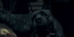 extant_HouseOfTheDragon_2x02-RhaenyraTheCruel_0054