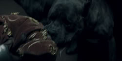 extant_HouseOfTheDragon_2x02-RhaenyraTheCruel_0055