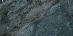extant_HouseOfTheDragon_2x02-RhaenyraTheCruel_1291