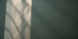 extant_HouseOfTheDragon_2x02-RhaenyraTheCruel_2373