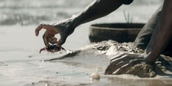 extant_HouseOfTheDragon_2x02-RhaenyraTheCruel_4237