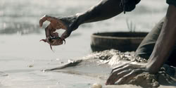 extant_HouseOfTheDragon_2x02-RhaenyraTheCruel_4238