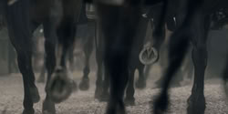 extant_HouseOfTheDragon_2x03_TheBurningMill_05065