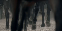 extant_HouseOfTheDragon_2x03_TheBurningMill_05066