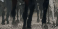 extant_HouseOfTheDragon_2x03_TheBurningMill_05067