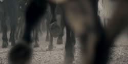 extant_HouseOfTheDragon_2x03_TheBurningMill_05068