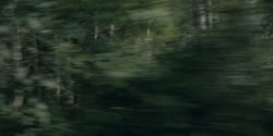 extant_HouseOfTheDragon_2x03_TheBurningMill_07104
