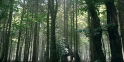 extant_HouseOfTheDragon_2x03_TheBurningMill_07128