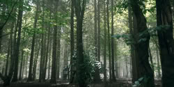 extant_HouseOfTheDragon_2x03_TheBurningMill_07129