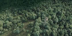extant_HouseOfTheDragon_2x03_TheBurningMill_07185