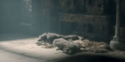 extant_HouseOfTheDragon_2x04_TheRedDragonAndTheGold_0431
