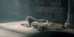 extant_HouseOfTheDragon_2x04_TheRedDragonAndTheGold_0432