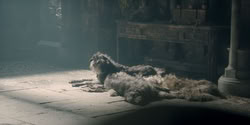 extant_HouseOfTheDragon_2x04_TheRedDragonAndTheGold_0433