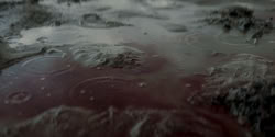 extant_HouseOfTheDragon_2x04_TheRedDragonAndTheGold_1133