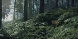extant_HouseOfTheDragon_2x04_TheRedDragonAndTheGold_2970