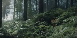 extant_HouseOfTheDragon_2x04_TheRedDragonAndTheGold_2971