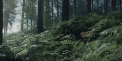 extant_HouseOfTheDragon_2x04_TheRedDragonAndTheGold_2972