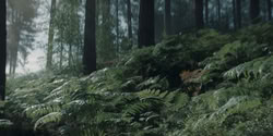 extant_HouseOfTheDragon_2x04_TheRedDragonAndTheGold_2973