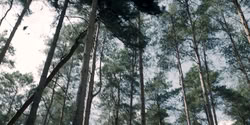 extant_HouseOfTheDragon_2x04_TheRedDragonAndTheGold_2990