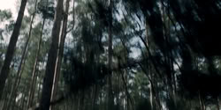 extant_HouseOfTheDragon_2x04_TheRedDragonAndTheGold_2991