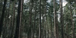 extant_HouseOfTheDragon_2x04_TheRedDragonAndTheGold_2992