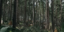 extant_HouseOfTheDragon_2x04_TheRedDragonAndTheGold_2993