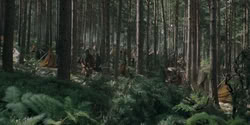 extant_HouseOfTheDragon_2x04_TheRedDragonAndTheGold_2996
