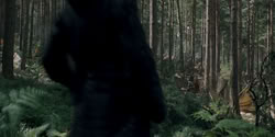 extant_HouseOfTheDragon_2x04_TheRedDragonAndTheGold_2997