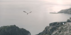 extant_HouseOfTheDragon_2x04_TheRedDragonAndTheGold_3663