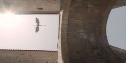 extant_HouseOfTheDragon_2x04_TheRedDragonAndTheGold_3701