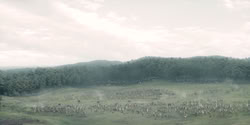extant_HouseOfTheDragon_2x04_TheRedDragonAndTheGold_3761