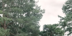 extant_HouseOfTheDragon_2x04_TheRedDragonAndTheGold_3806
