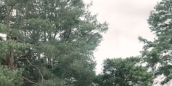 extant_HouseOfTheDragon_2x04_TheRedDragonAndTheGold_3807