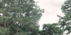 extant_HouseOfTheDragon_2x04_TheRedDragonAndTheGold_3808
