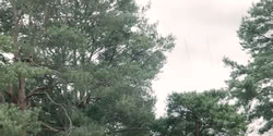 extant_HouseOfTheDragon_2x04_TheRedDragonAndTheGold_3809